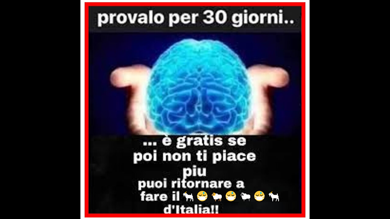 🧠​ PROVALO PER 30 GIORNI 🧠 E' GRATIS 🧠 SE POI NON TI PIACE...🐐​😷🐏​😷🐑​​​😷​🐐