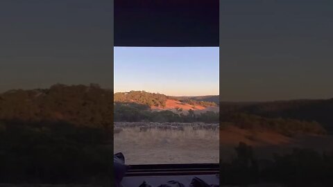 Go On A Trip Alone tiktok amyrosealexandra