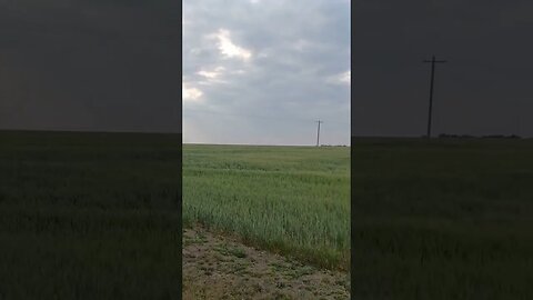 Spring Evening on the Prairie