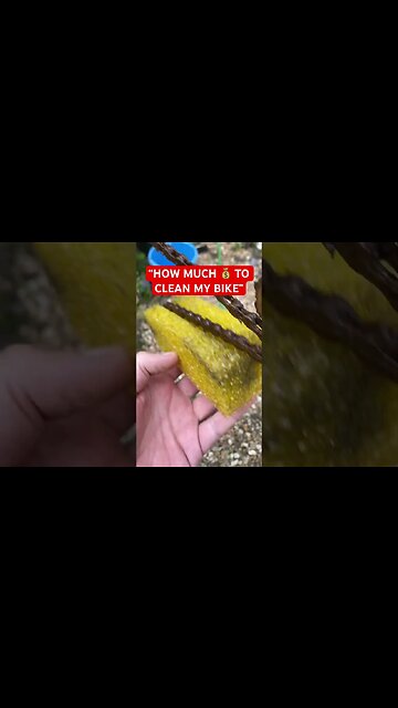 Can You Clean My Bike? 🧼