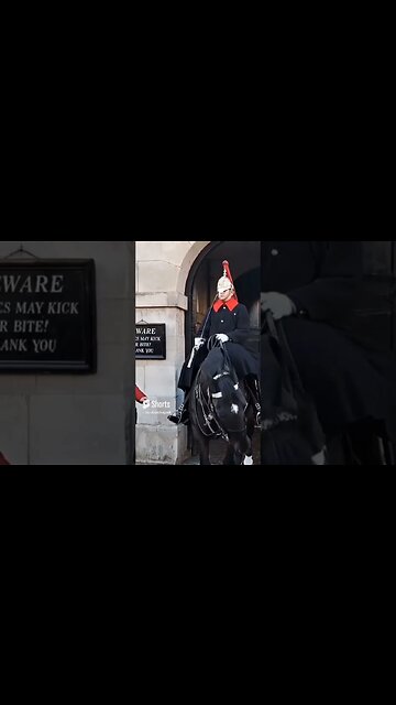 Horse takes revenge on tourist for other tourists touching the guards foot #horseguardsparade 😆 🤣 😂