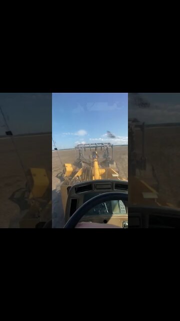 Driving a loader #shorts