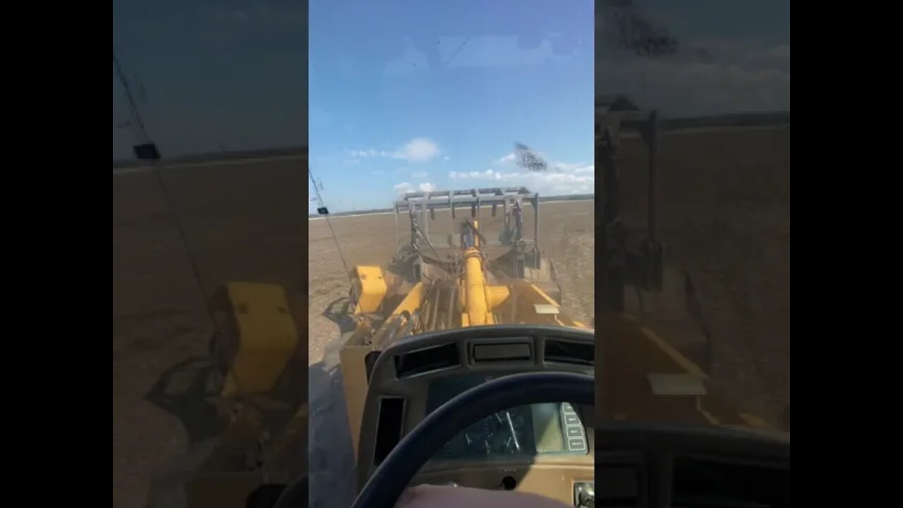 Driving a loader #shorts