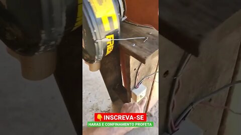 triturador de capim caseiro motor de máquina de lavar roupa #shorts #agro #roça #agropecuaria