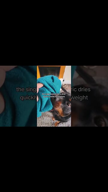 Winter is coming, who's got there dogrobes ready 🐕