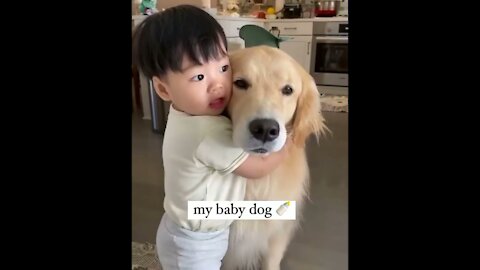 Cutest dogs video compilation ever seen before ❤️