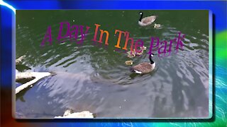 A Day In The Park 2021-05-15