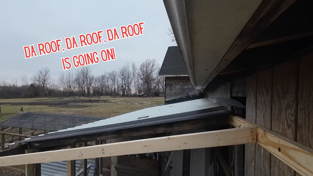 Roofing the Barn Extension