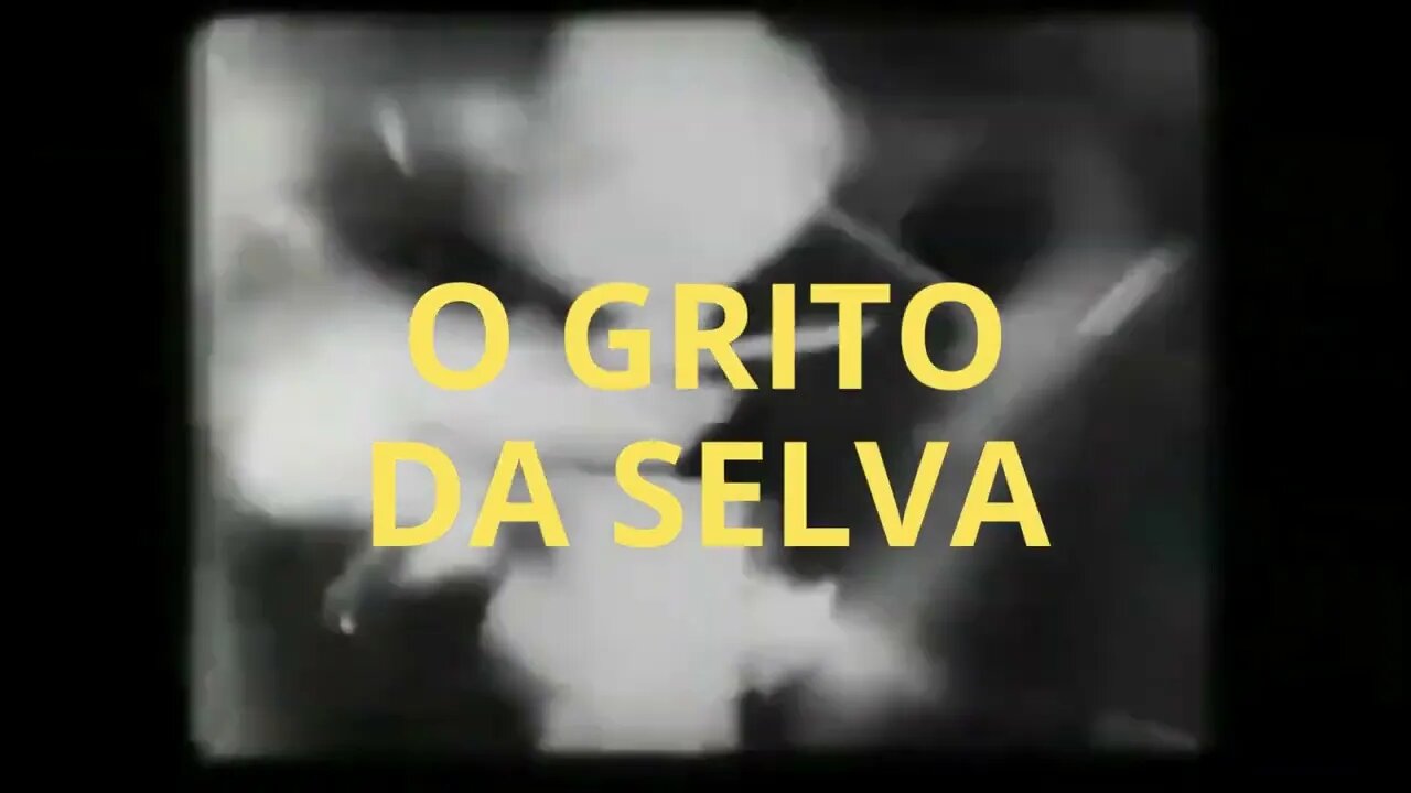 O GRITO DA SELVA