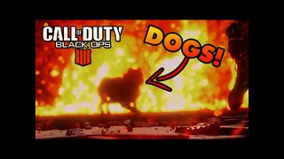 DOGS Scorestreak Returning to Black Ops 4!