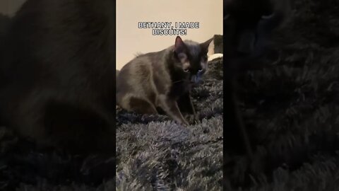 You better be coming😑 #cat #blackcat #leonthecatdad #relationship #relateable