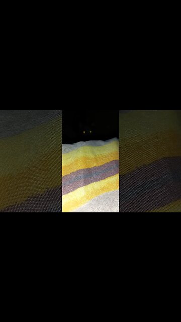 a scary presence in the dark