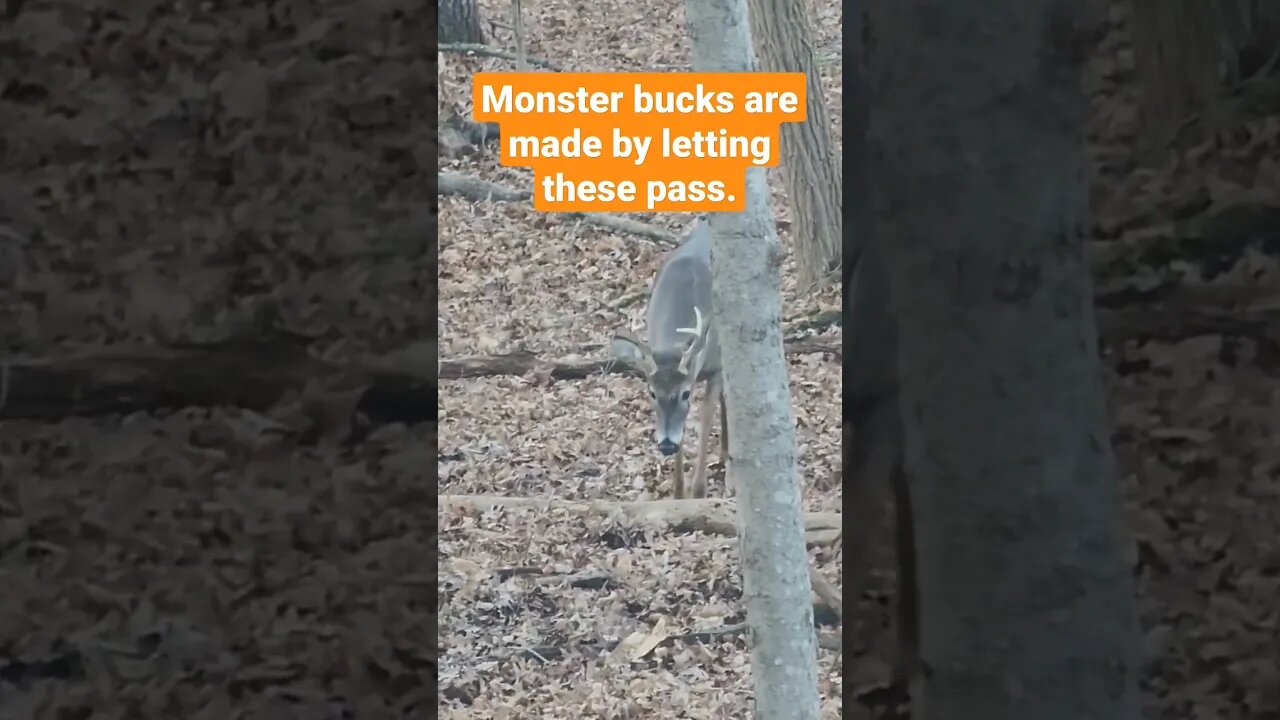 Looking for Trophy Bucks?
