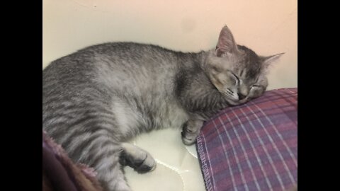 My Baby Rian