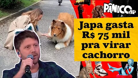 RESENHA ZU E ZUZU: VAQUINHA DE BOLSONARO RENDEU R$ 17,2 MILHÕES?