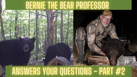 Your Bear Hunting Questions Answered Part #2