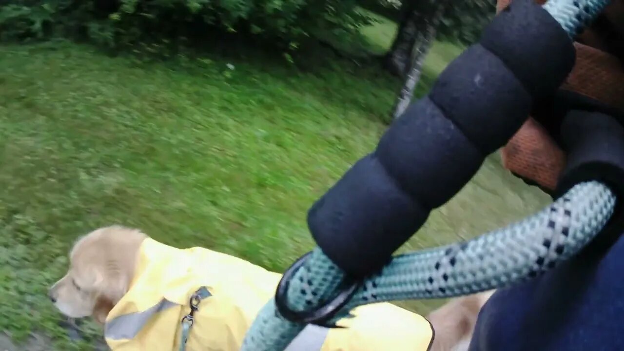 July 11th, 64º and we get washed out