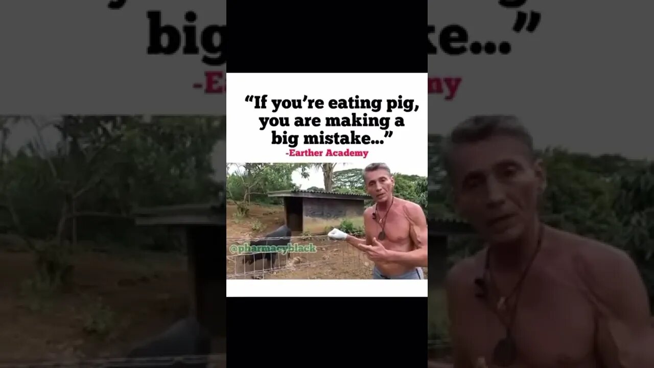 And this is why we dont eat pigs...