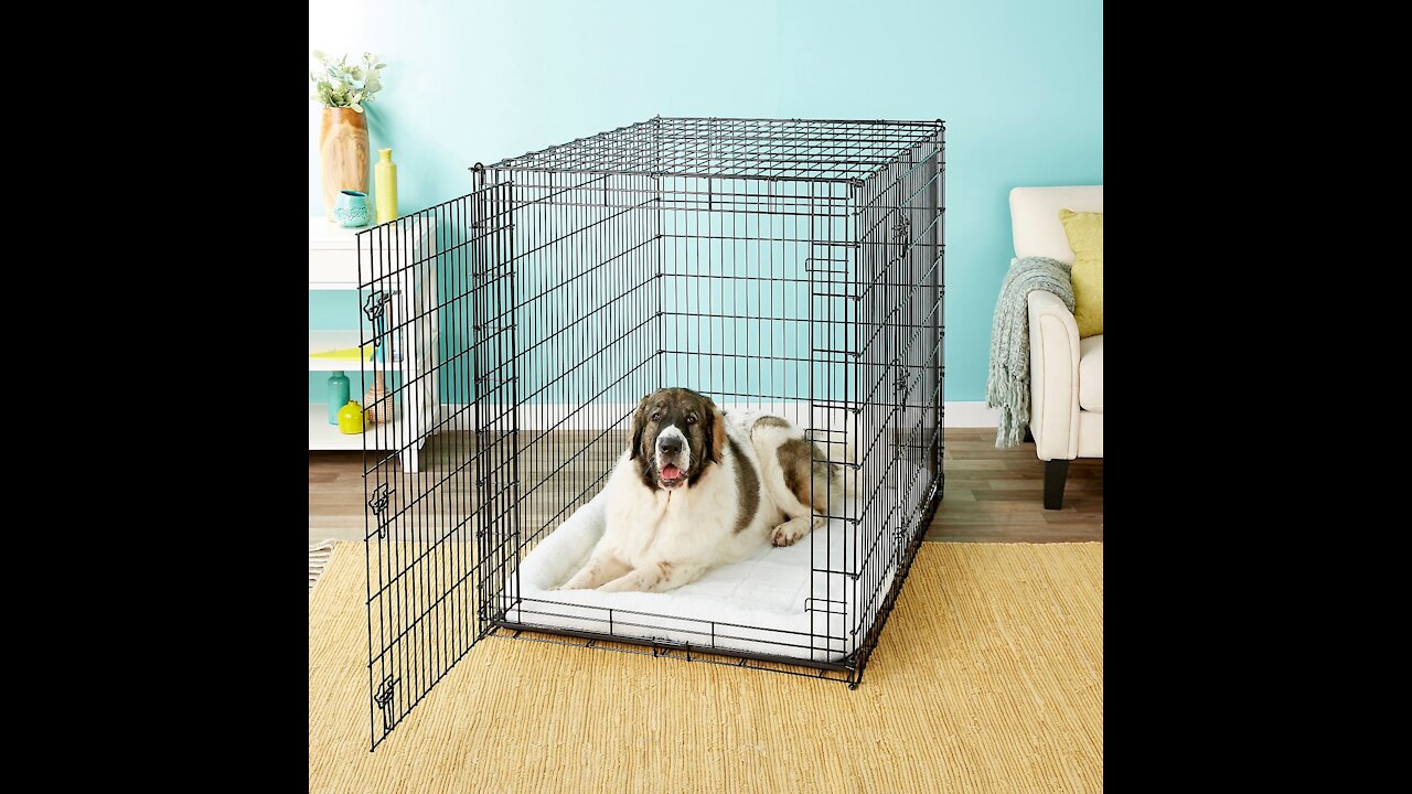 Crate Train Your Dog