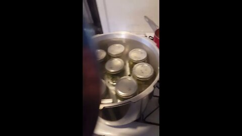 CANNING MY GARDEN VEGGIES! :D #prepping #preparation #preparedness #prepare #canning