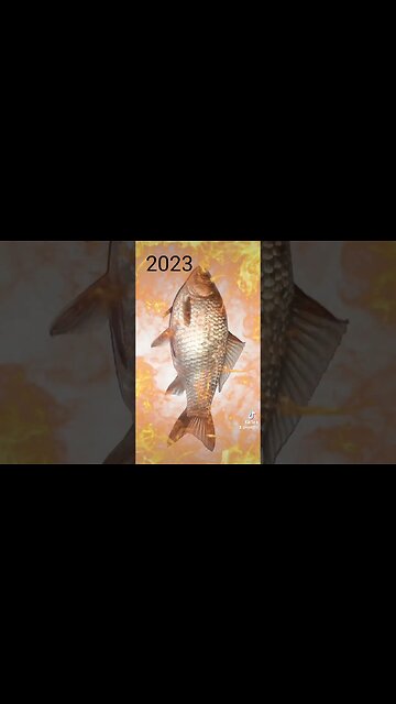 de la zeama de #cuc la #caras #jmek #splashipula #zeamadecuc #veceu