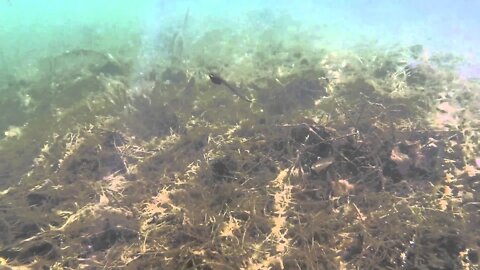 MidWest Outdoors TV Show #1564 - Tip of the Week with Dan Quinn