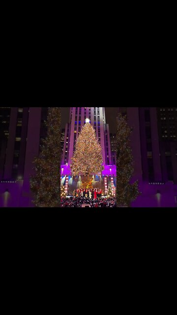 The 2023 Rockefeller Center Christmas Tree is officially lit 🎄