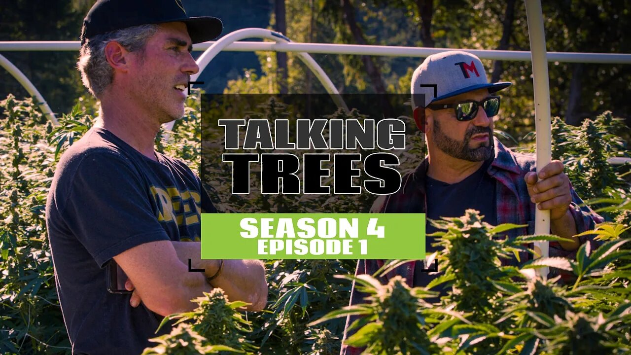 S4 EP1 The Most Sustainable Cannabis Brand In Cannabis | Talking Trees