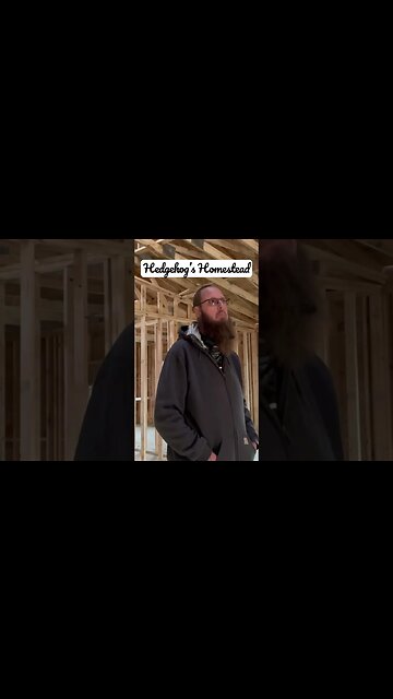 Are the ceiling tile enough? #hedgehogshomestead