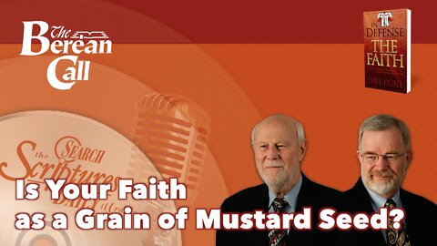 Is Your Faith as a Grain of Mustard Seed? - In Defense of the Faith Radio Discussion