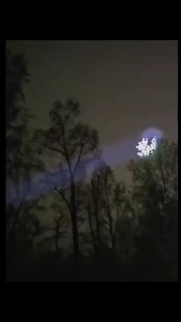 tree shadows on the sky? 🤔