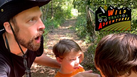 A New Discovery | Wild Tractor Adventures #03