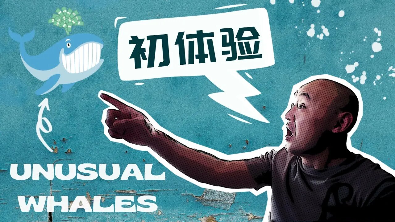 🐳Unusual Whales怎么样？| Unusual Whales使用心得| 用Unusual Whales搜索期权异动大单