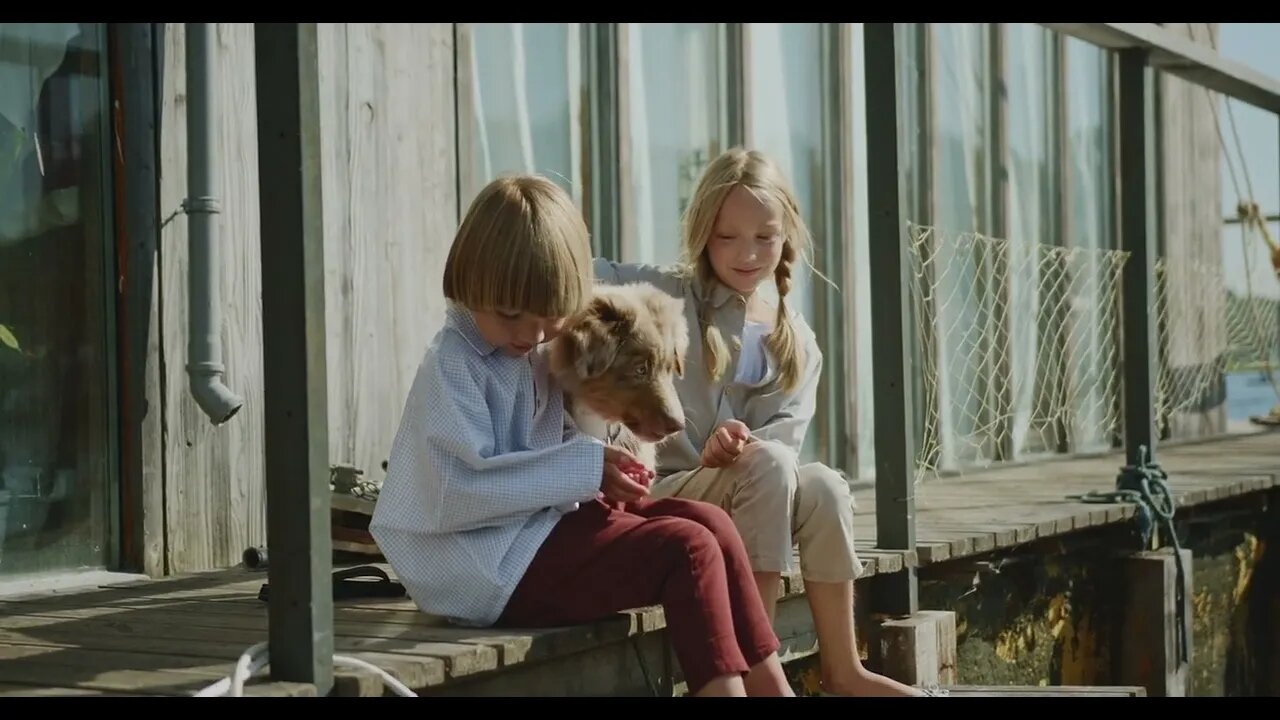 Boy Feeding a Dog