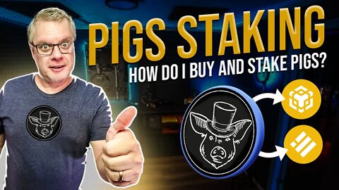 How to Stake Your AFP (PIGS) in the Animal Farm