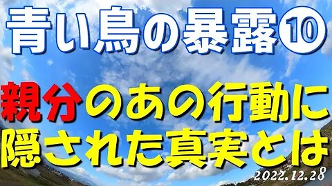 青い鳥の暴露第十弾！🐤寅さんのあの行動に隠された真実とは [日本語朗読/解説]041228