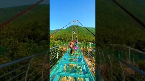 Glass bridge | Rajgir #bihar #rajgir #glassbridgebihar #shorts #short @BiharTak #viral