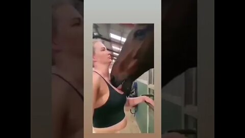 kiss horse