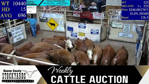 7/18/2023 - Beaver County Stockyards Livestock Auction