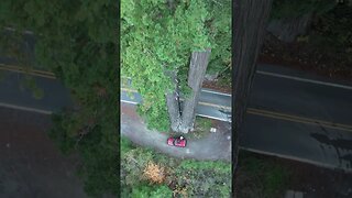 HUMBOLT REDWOOD with Jeep Cherokee XJ on an EPIC OVERLAND ADVENTURE!