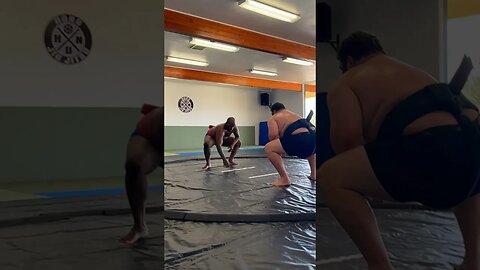 Rage in his eyes #sumo #shorts #youtubeshorts #相撲 #大相撲 #力士 #相撲好き #大相撲観戦 #土俵 #大関 #相撲ファン #格闘技 #アマ相撲