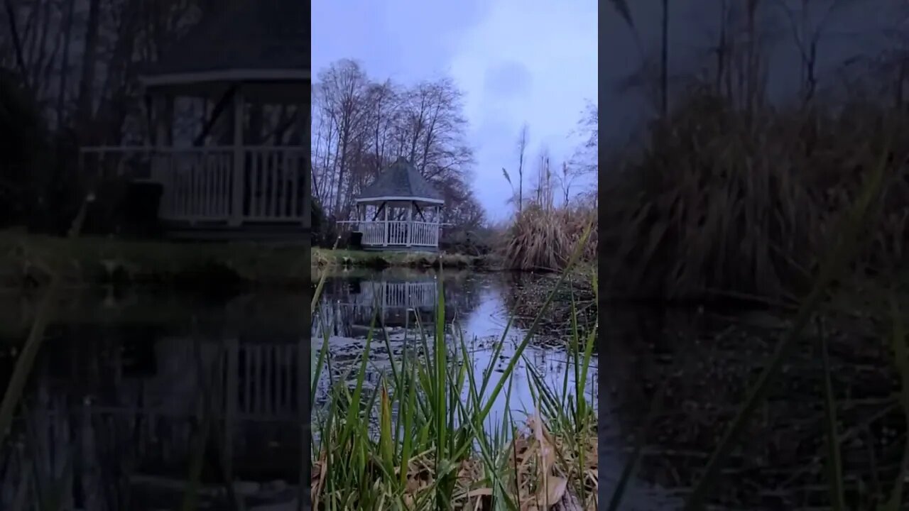 Some gentle winter rain to help you sleep.