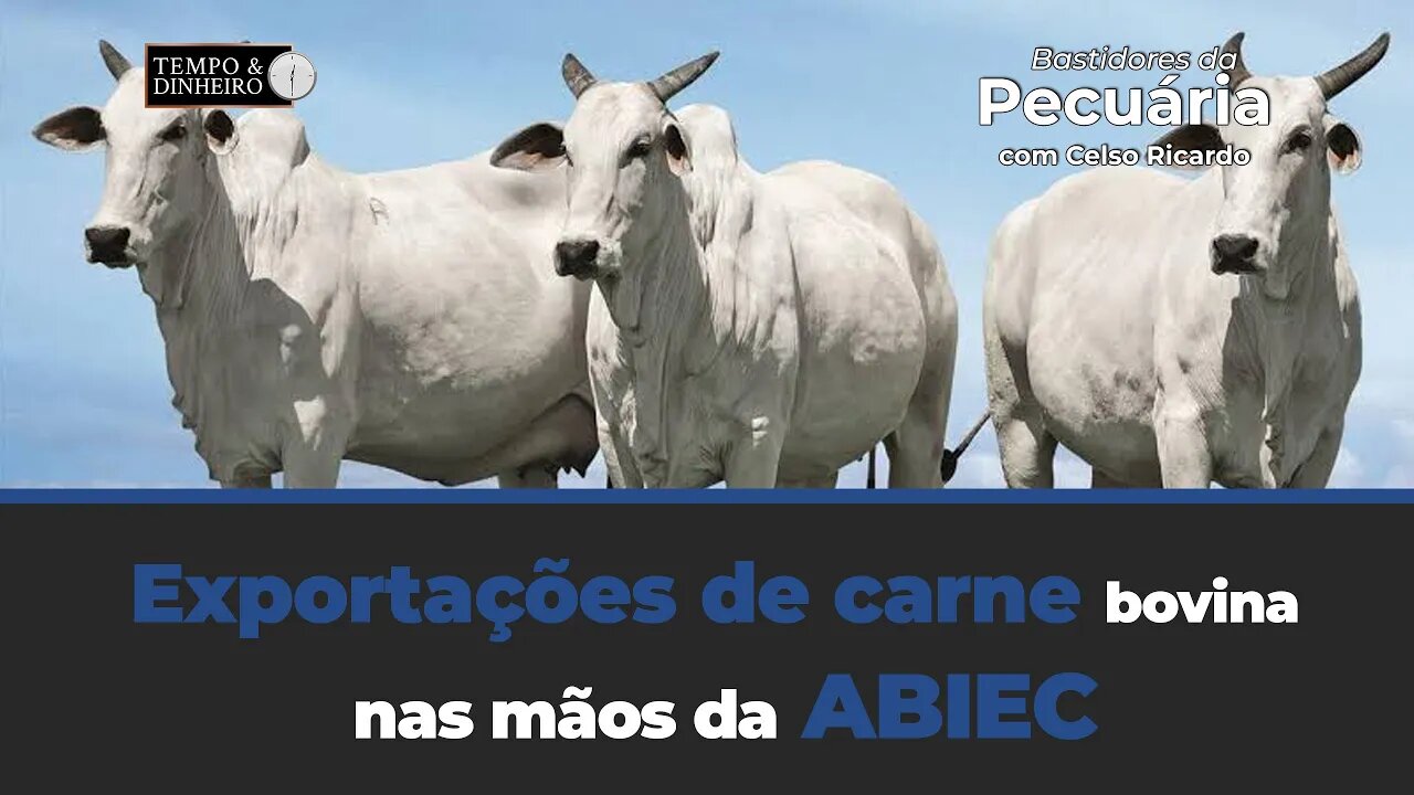Exportações de carne bovina nas mãos da ABIEC, por que?Questiona Celso Ricardo