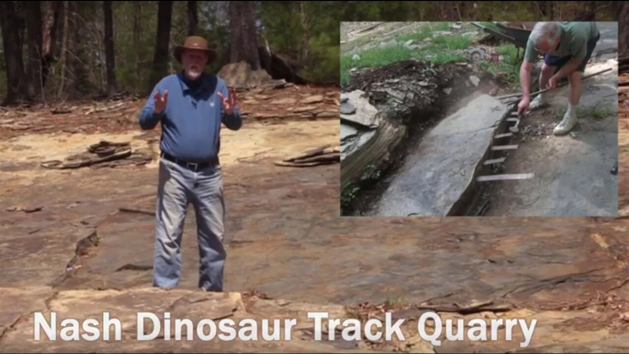 Dinosaur Tracks - Evidence For a Global Flood?