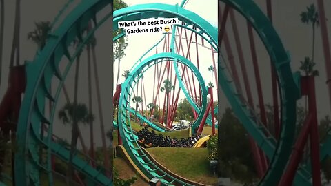 I can’t stop riding! 🤩🎢 #buschgardens #rollercoaster #shorts