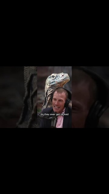 Komodo Dragon Facts - Komodo Island - Jamie Metzl & Joe Rogan