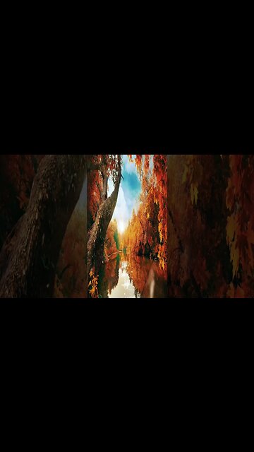 RANDOM FACTS! For The Curious Mind Vid #83 #Shorts #Facts #mindblowing #factsyouprobablydidntknow