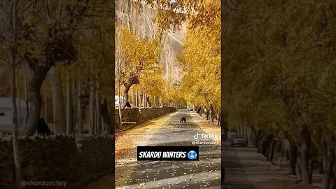 Skardu winters 🥶#sulemansaeedvlogs #youtube #lahore #vlogs