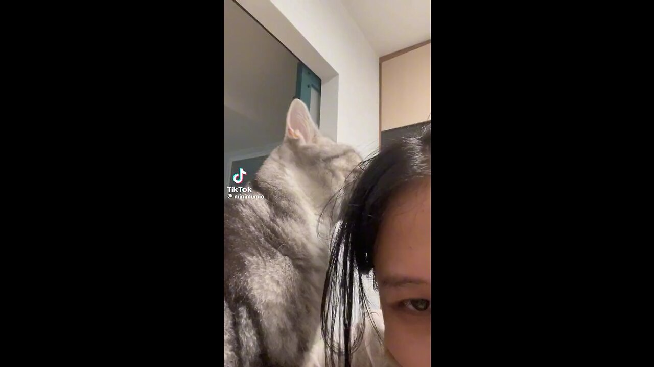 Cat’s love to his owner