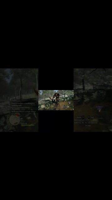 Dragons Dogma :) Companion Combo 1